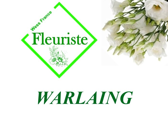 Fleuriste Warlaing - livraison de fleurs Warlaing