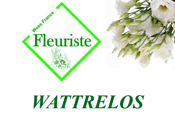 Fleuriste Wattrelos Fleuriste Wattrelos - livraison de fleurs Wattrelos