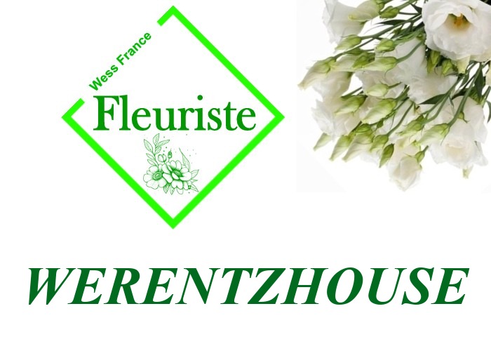 Fleuriste Werentzhouse Fleuriste Werentzhouse - livraison de fleurs Werentzhouse