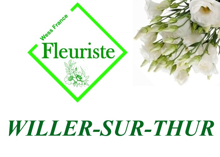 Fleuriste Willer-sur-Thur Fleuriste Willer-sur-Thur - livraison de fleurs Willer-sur-Thur
